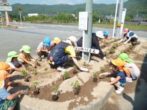 花壇に花を植えている子どもたち
